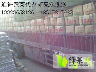 荷蘭十五克新系列土豆 貨源充足，專業代購代銷服務