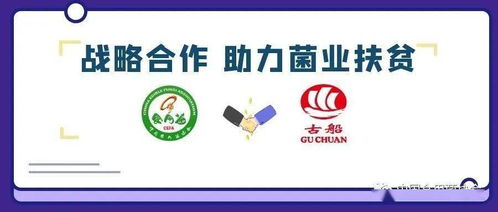 攜手古船米業，共筑貧困地區食用菌銷售與商品房代購代銷新篇章